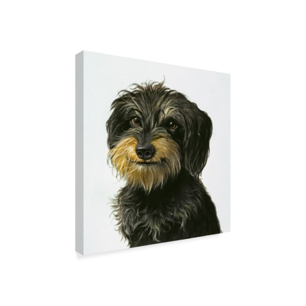 Harro Maass 'Dog' Canvas Art,18x18